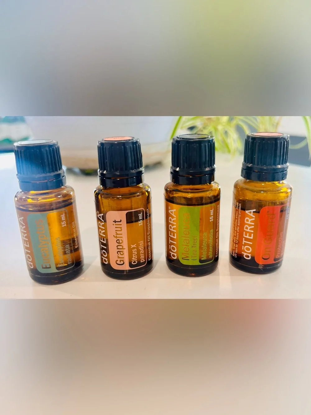 Doterra Eucalyptus, Grapefruit, Melaleuca, & On Guard Essential Oil Set of 4.